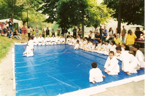 U.P.V. Sezione Arti Marziali